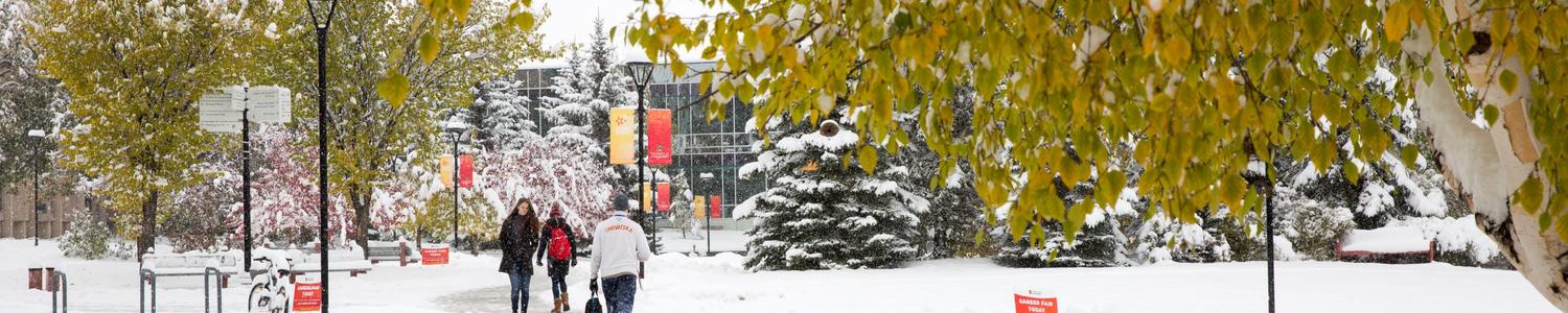 Winter on Campus